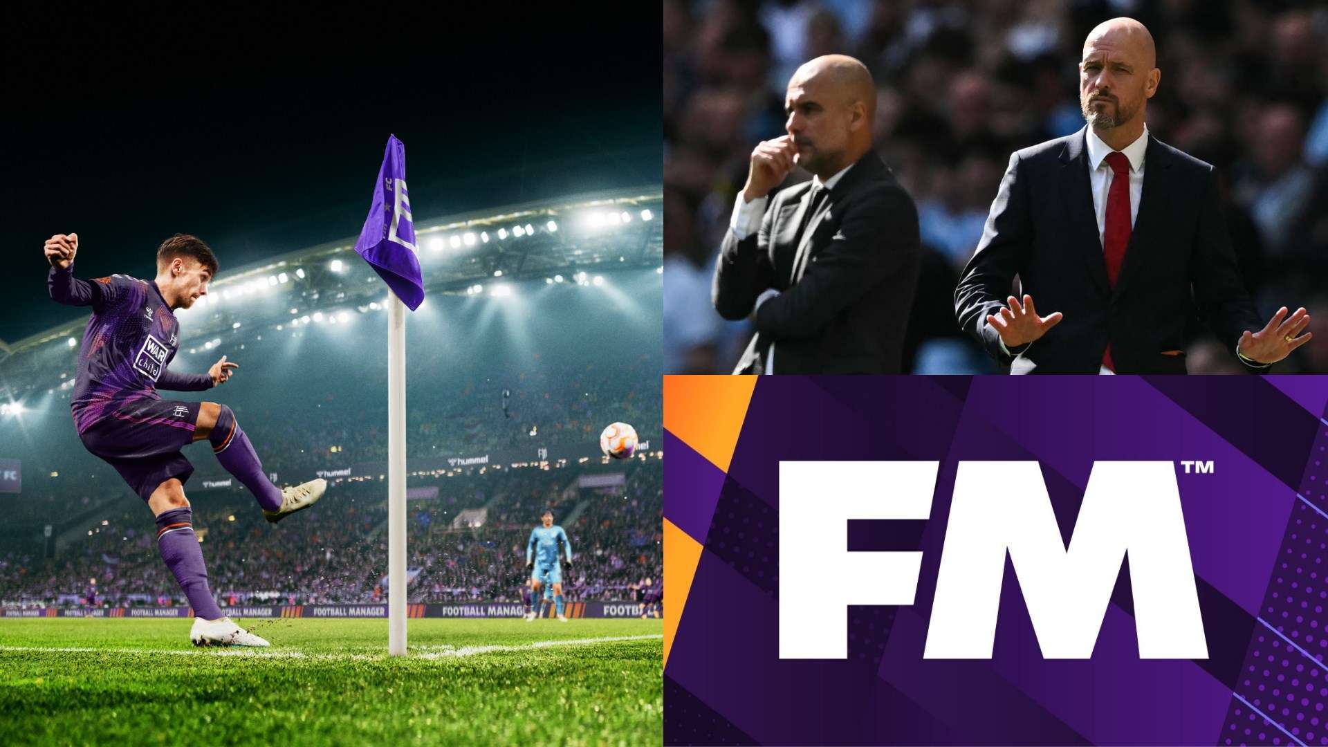 的教育和职 的教育和职